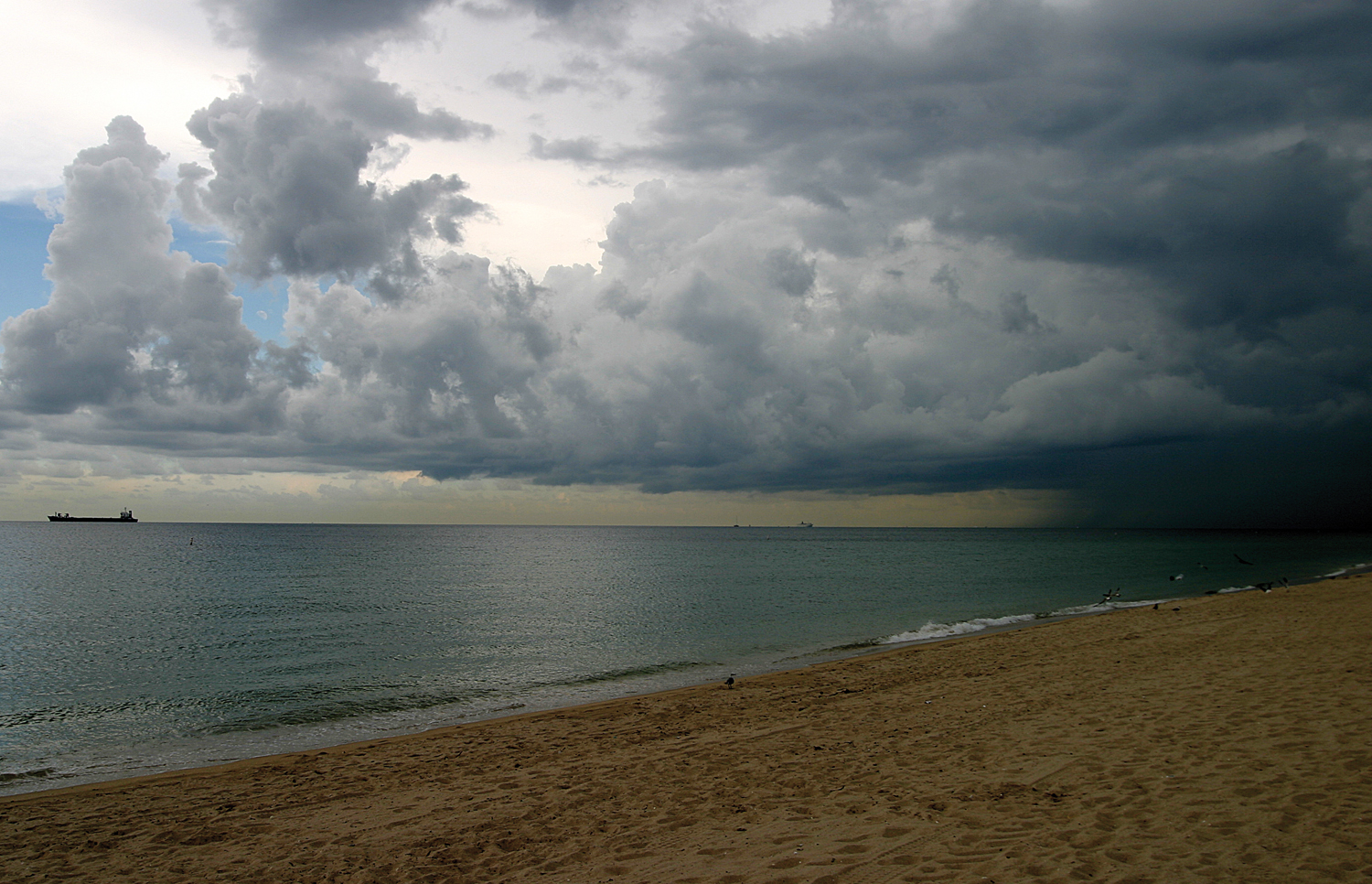 Tropical Cyclones News Update